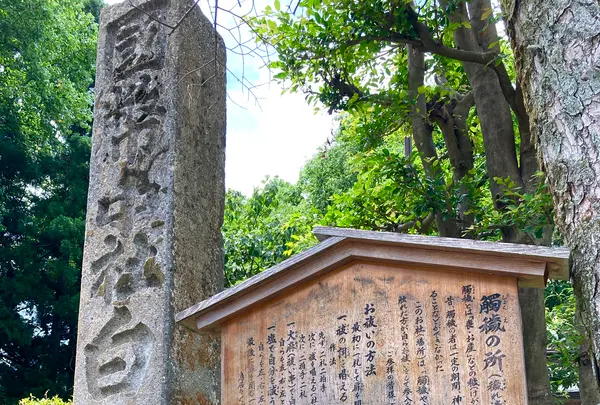 白山比咩神社の写真・動画_image_538178