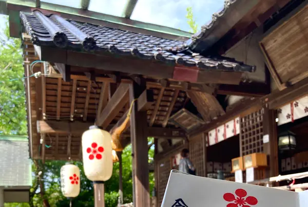 宇多須神社の写真・動画_image_538213