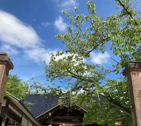 宇多須神社の写真・動画_image_538214