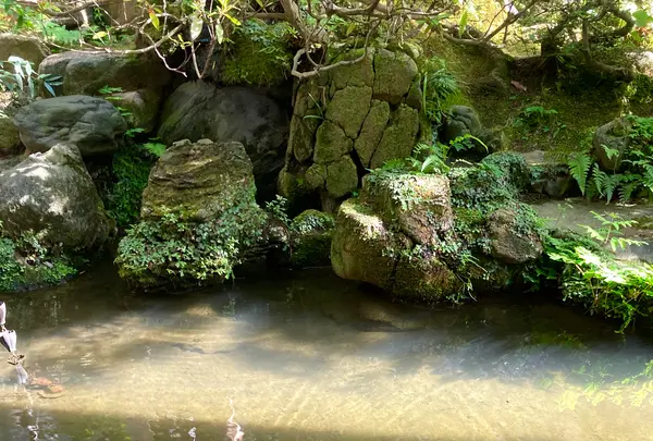 武家屋敷跡 野村家の写真・動画_image_538223