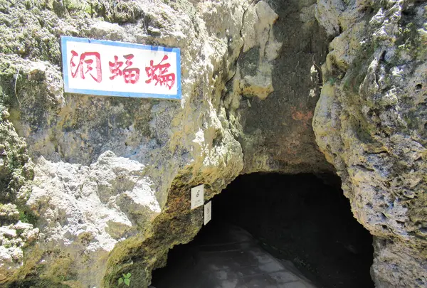 Meirendongの写真・動画_image_538500