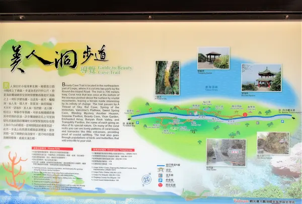 Meirendongの写真・動画_image_538502