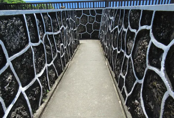 Shanfu Ecological Walkの写真・動画_image_538504