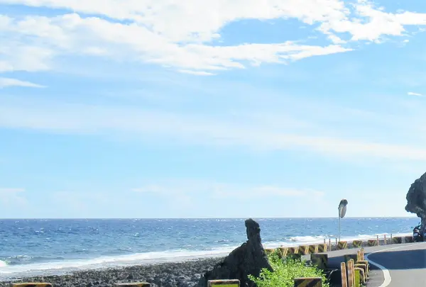 紅番石の写真・動画_image_538533