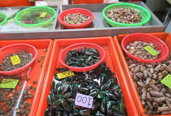 華僑魚市場の写真・動画_image_538543