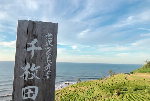 白米千枚田の写真・動画_image_539287