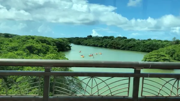 新石垣空港（南ぬ島石垣空港）の写真・動画_image_539957