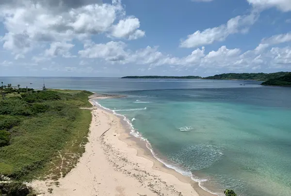 角島展望台の写真・動画_image_540305