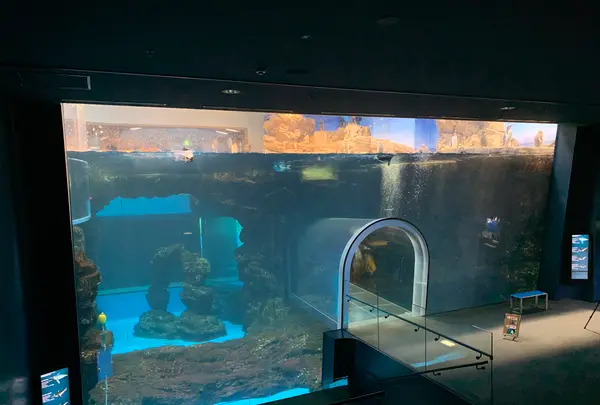 下関市立しものせき水族館・海響館の写真・動画_image_540309