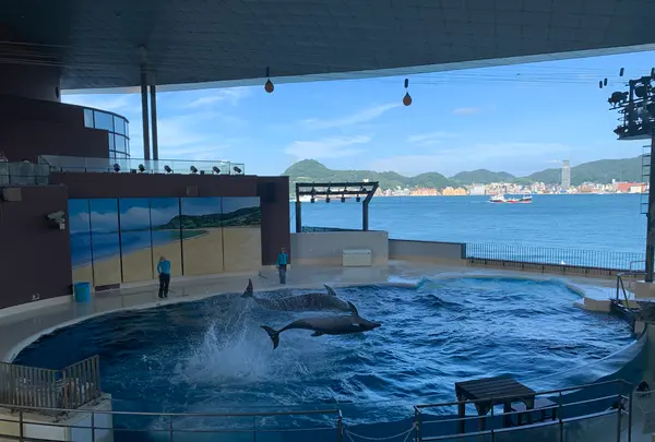 下関市立しものせき水族館・海響館の写真・動画_image_540310