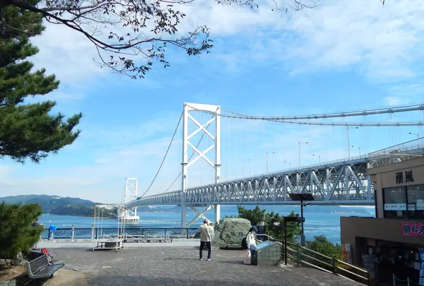 千畳敷展望台の写真・動画_image_540442