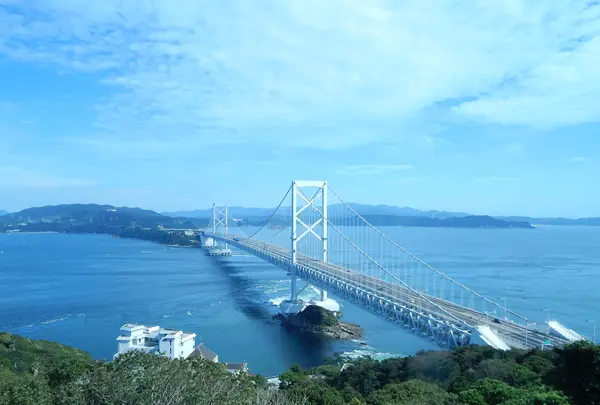 千畳敷展望台の写真・動画_image_540443