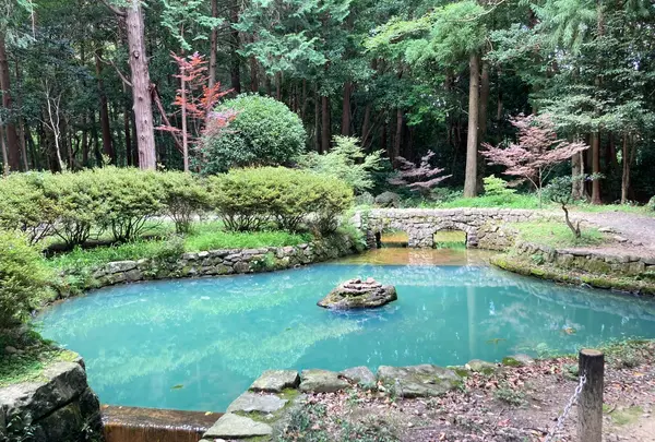 大麻比古神社の写真・動画_image_540492