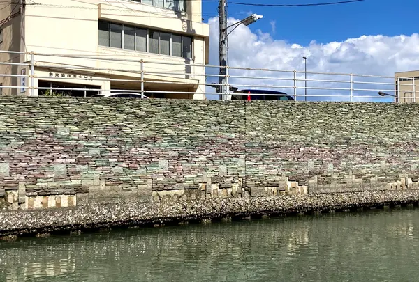 ひょうたん島クルーズの写真・動画_image_540515