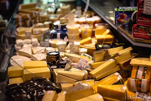 Say Cheeseの写真・動画_image_540709