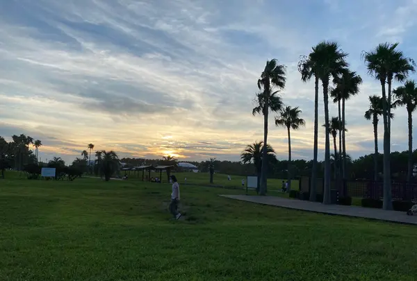 神奈川県立辻堂海浜公園の写真・動画_image_540719