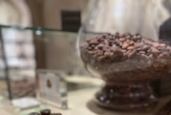 Alléno & Rivoireの写真・動画_image_540916