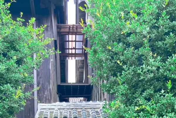 福壽醤油（株）の写真・動画_image_541276