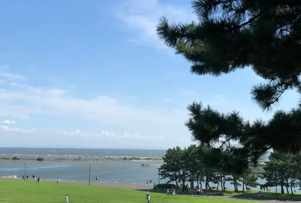 葛西臨海公園の写真・動画_image_541689