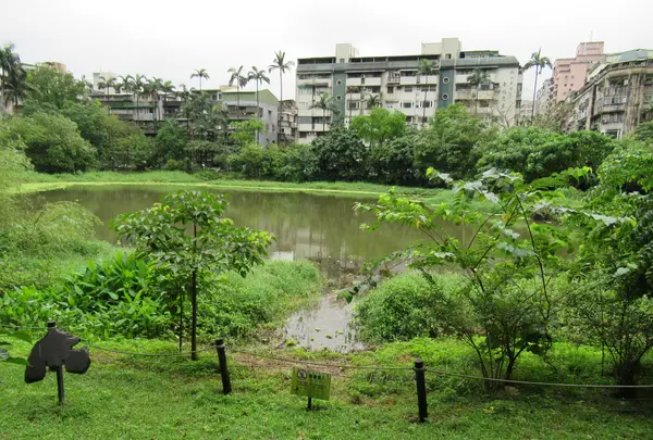 松山文創園区の写真・動画_image_541886