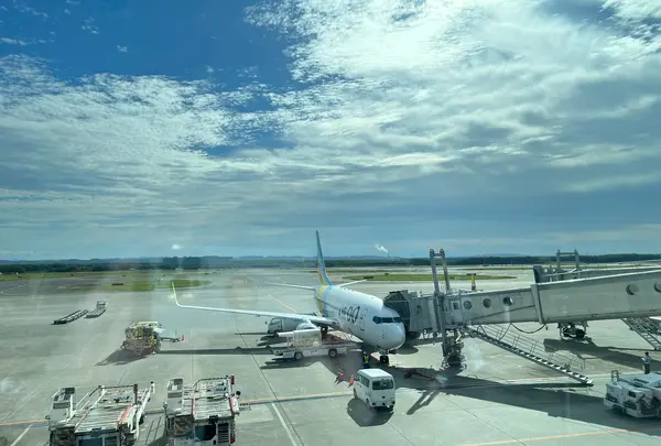新千歳空港の写真・動画_image_541924