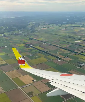新千歳空港の写真・動画_image_541925
