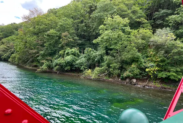 山線鉄橋の写真・動画_image_541935