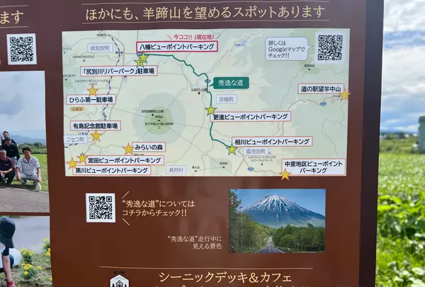 羊蹄山の写真・動画_image_541939