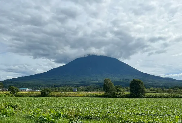 羊蹄山の写真・動画_image_541940