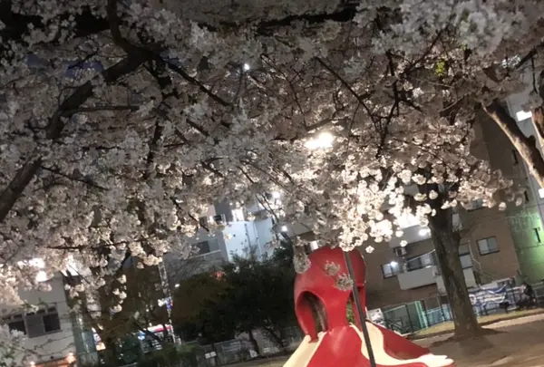 VOCO 凹 恵比寿店の写真・動画_image_542177