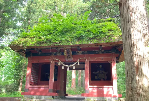 戸隠神社奥社の写真・動画_image_542227