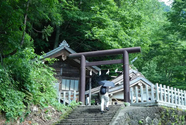 戸隠神社奥社の写真・動画_image_542232