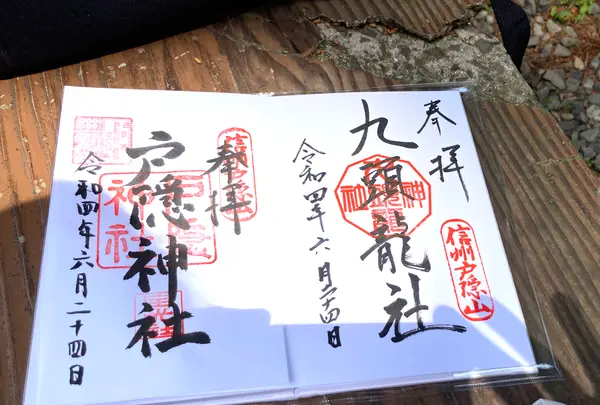 戸隠神社九頭龍社の写真・動画_image_542239