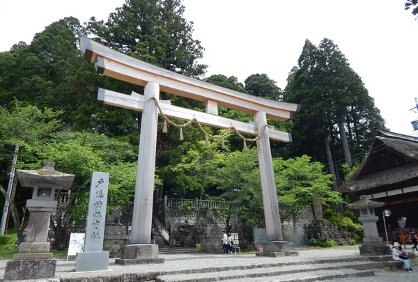 戸隠神社中社の写真・動画_image_542242