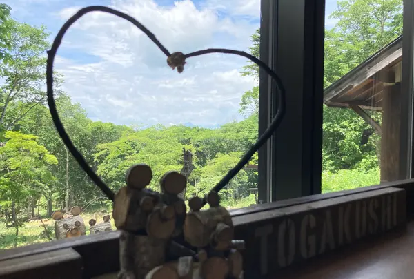 戸隠神告げ温泉の写真・動画_image_542252