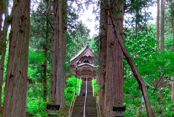 戸隠神社　宝光社の写真・動画_image_542256