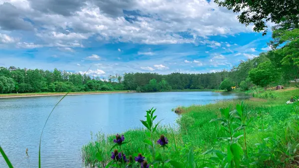 大座法師池の写真・動画_image_542259