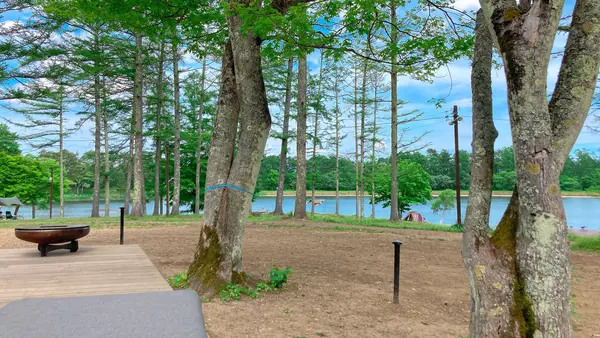 大座法師池の写真・動画_image_542262