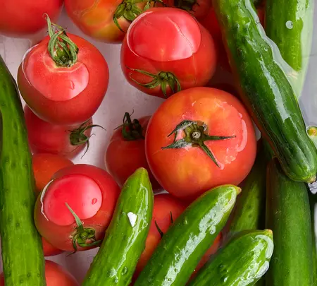 郡上八幡城下町プラザの写真・動画_image_542298