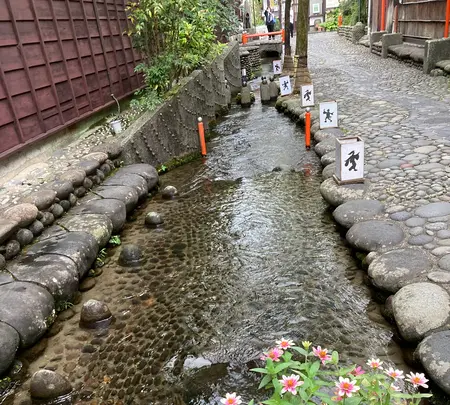 やなか水のこみちの写真・動画_image_542303