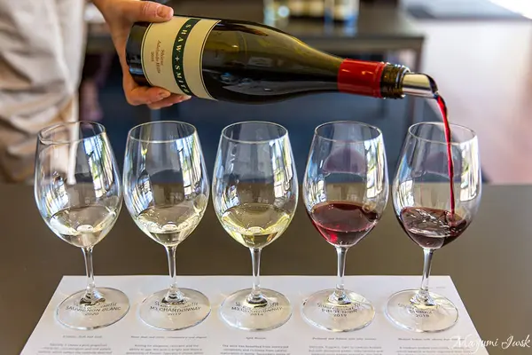 ショー + スミスの写真・動画_image_542491