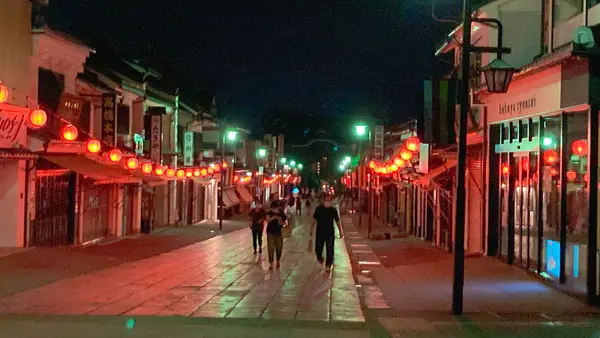 善光寺の写真・動画_image_542576