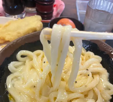 手打十段うどん バカ一代の写真・動画_image_542693