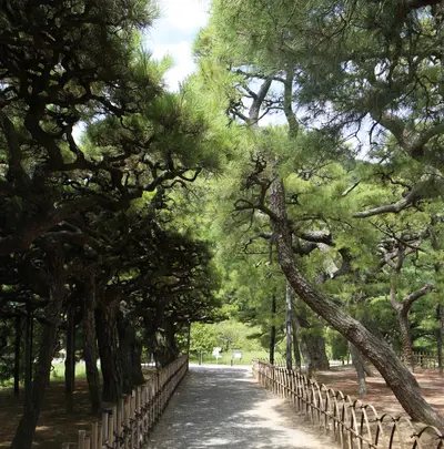 栗林公園の写真・動画_image_542709