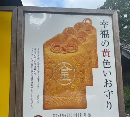 金刀比羅宮（こんぴらさん）の写真・動画_image_542718