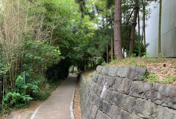神奈川県立近代美術館 葉山の写真・動画_image_542900