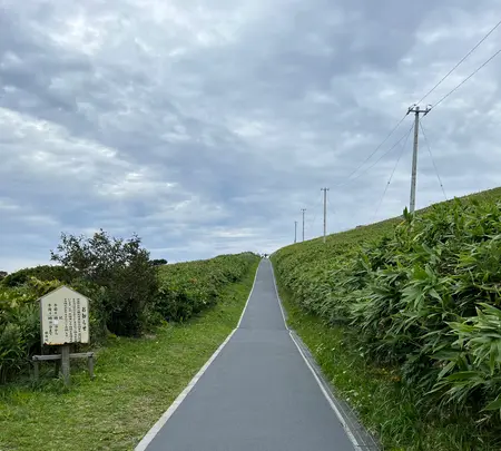 神威岬の写真・動画_image_543048