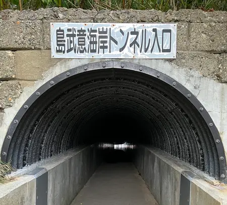 島武意海岸の写真・動画_image_543050