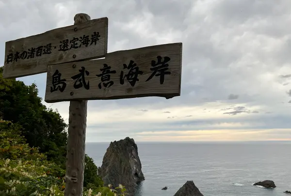 島武意海岸の写真・動画_image_543051