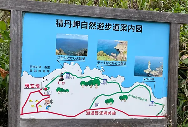 島武意海岸の写真・動画_image_543052